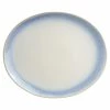 Best Pirce 💯 Martha Stewart 13.6in Oval Stoneware Serving Platter In Blue 👍