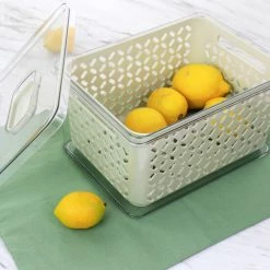 Outlet 🎉 Martha Stewart Large Fresh Keeper Container Set ⌛ -Martha Stewart Sales unnamed file 2312