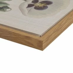 Outlet 🤩 Martha Stewart Herbal Botany Green Framed Linen Canvas 4 Piece Set ✔️ -Martha Stewart Sales unnamed file 2743