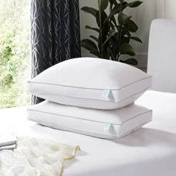 Cheapest ๐ Martha Stewart White Feather And Down Pillows (Set Of 2) ๐ฏ 6 Cheapest ๐ Martha Stewart White Feather And Down Pillows (Set Of 2) ๐ฏ -Martha Stewart Sales unnamed file 3000