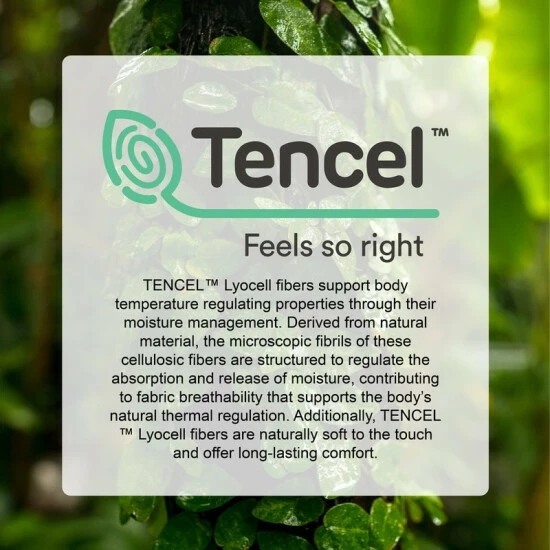 Promo π Martha Stewart Naturally Cool Memory Foam Cluster Pillow 2-Pack π― 5 Promo π Martha Stewart Naturally Cool Memory Foam Cluster Pillow 2-Pack π― - Image 5