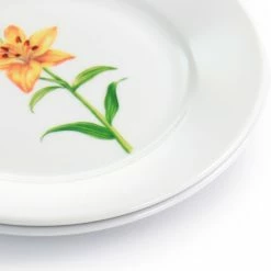 Best reviews of 😀 Martha Stewart Botanical Garden 4 Piece 8 Inch Fine Ceramic Dessert Plates In White With Assorted Designs ⭐ -Martha Stewart Sales unnamed file 3637