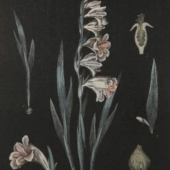 Coupon 🎉 Martha Stewart Eventide Flourish Botanical Contrast Framed Linen Canvas 2 Piece Set 🌟 -Martha Stewart Sales unnamed file 3691