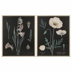 Coupon 🎉 Martha Stewart Eventide Flourish Botanical Contrast Framed Linen Canvas 2 Piece Set 🌟 -Martha Stewart Sales unnamed file 3692