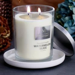 Promo 🎁 Martha Stewart Everyday 16 Ounce Watermelon Slice Scented Candle 🌟 -Martha Stewart Sales unnamed file 371