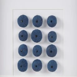 Cheap 🤩 Indigo Shells Real Natural Sea Urchin Framed Shadowbox Blue By Martha Stewart 🤩 -Martha Stewart Sales unnamed file 4072