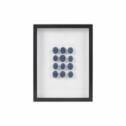 Cheap 🤩 Indigo Shells Real Natural Sea Urchin Framed Shadowbox Blue By Martha Stewart 🤩 -Martha Stewart Sales unnamed file 4073