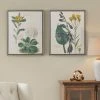 Best reviews of ⭐ Martha Stewart Florescent Botanical Framed Linen Canvas 2 Piece Set 😍
