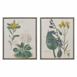 Best reviews of ⭐ Martha Stewart Florescent Botanical Framed Linen Canvas 2 Piece Set 😍 -Martha Stewart Sales unnamed file 4360