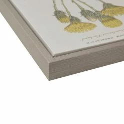 Best reviews of ⭐ Martha Stewart Florescent Botanical Framed Linen Canvas 2 Piece Set 😍 -Martha Stewart Sales unnamed file 4361