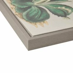 Best reviews of ⭐ Martha Stewart Florescent Botanical Framed Linen Canvas 2 Piece Set 😍 -Martha Stewart Sales unnamed file 4362