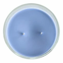 New 💯 Martha Stewart Everyday 16 Ounce Jasmine And Elm Scented Candle ✨ -Martha Stewart Sales unnamed file 517