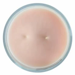 Cheap 💯 Martha Stewart Everyday 16 Ounce Pink Pine And Currant Scented Candle 😍 -Martha Stewart Sales unnamed file 522