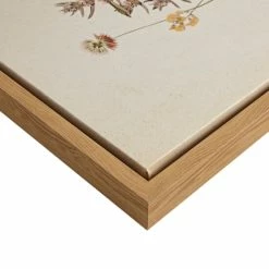 New 😀 Martha Stewart French Herbarium Framed Linen Canvas 2 Piece Set - Multi 🔔 -Martha Stewart Sales unnamed file 81